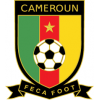 Kameroen WK 2022 Heren